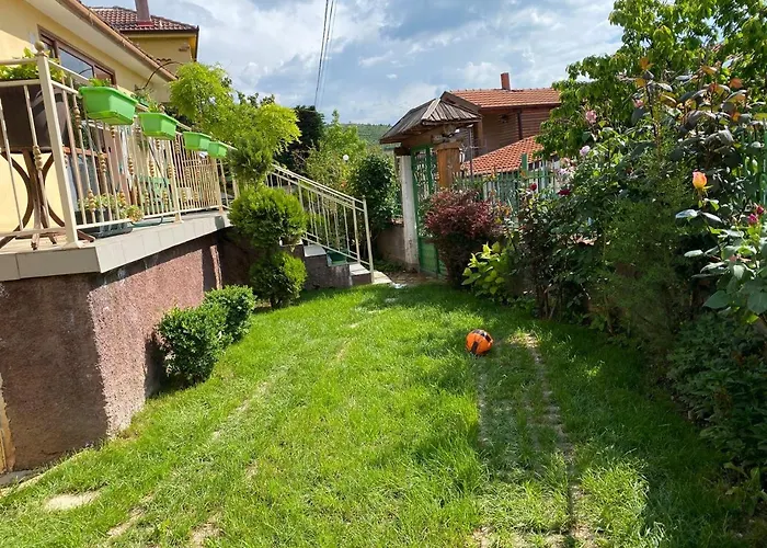 Vileta Auri Tushemisht