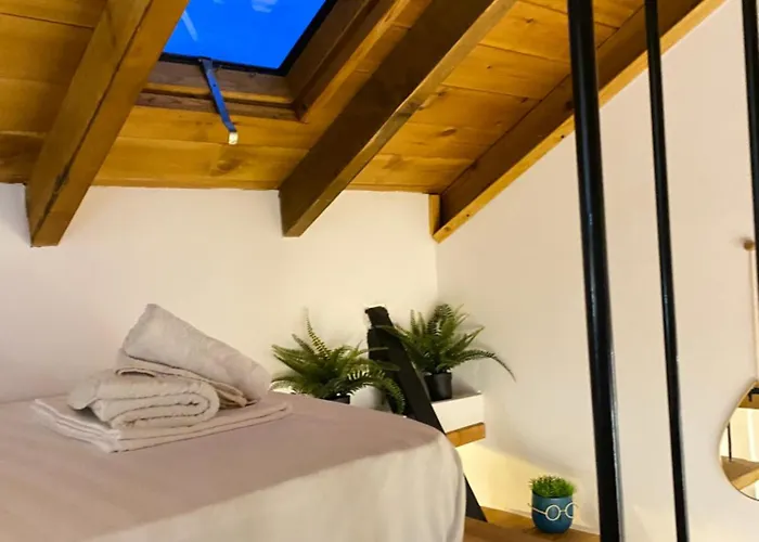 Vileta Auri Tushemisht