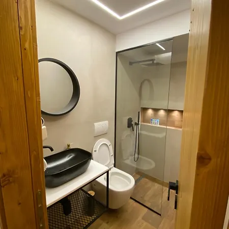 Villa Vileta Auri Tushemisht