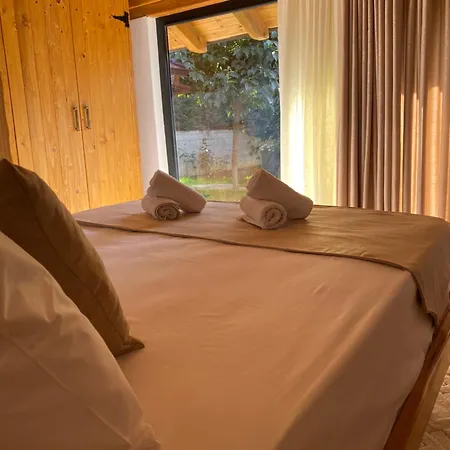 Villa Vileta Auri Tushemisht