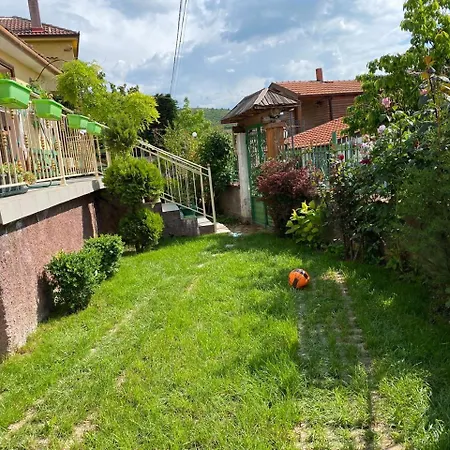 Vileta Auri Tushemisht