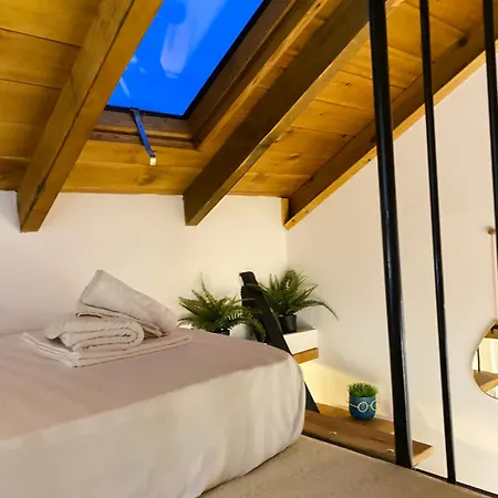 Vileta Auri Tushemisht