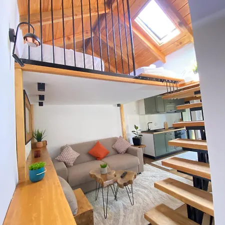 Vileta Auri Tushemisht