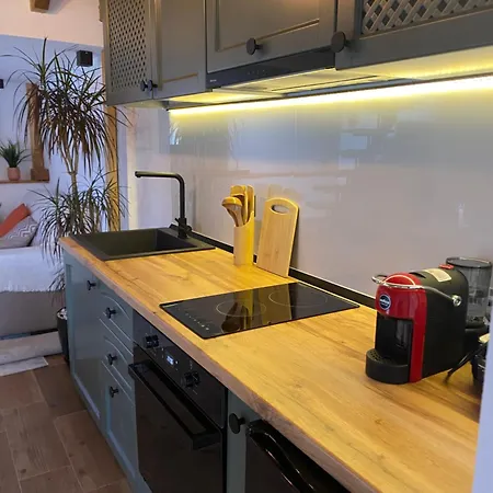 Vileta Auri فيلة *