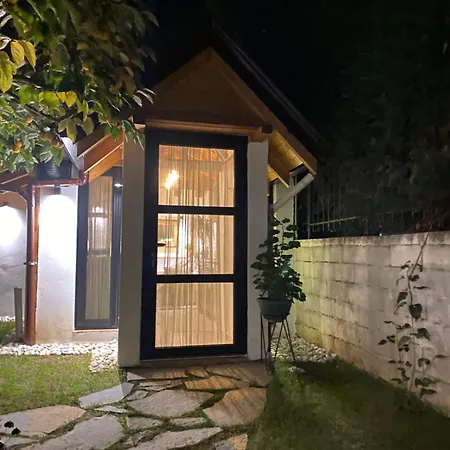 Villa Vileta Auri