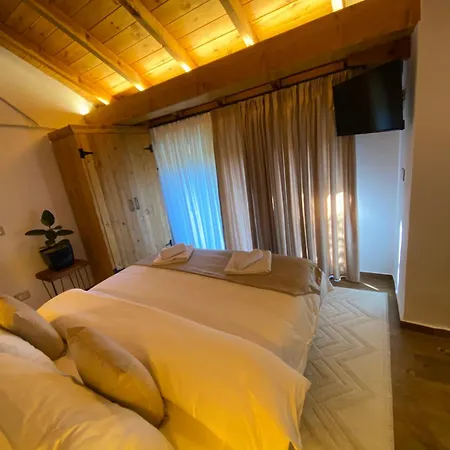 Villa Vileta Auri