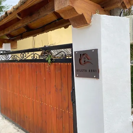 Vileta Auri Villa *