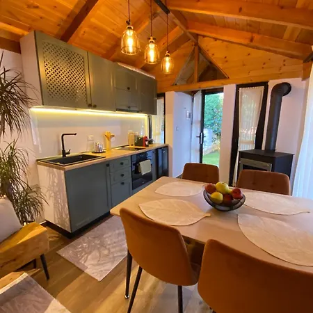 Vileta Auri Villa Tushemisht