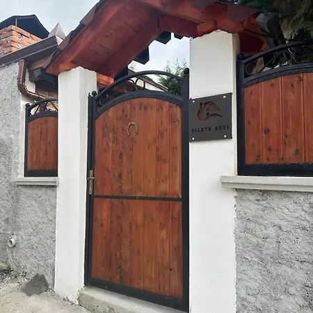 Vileta Auri * Tushemisht